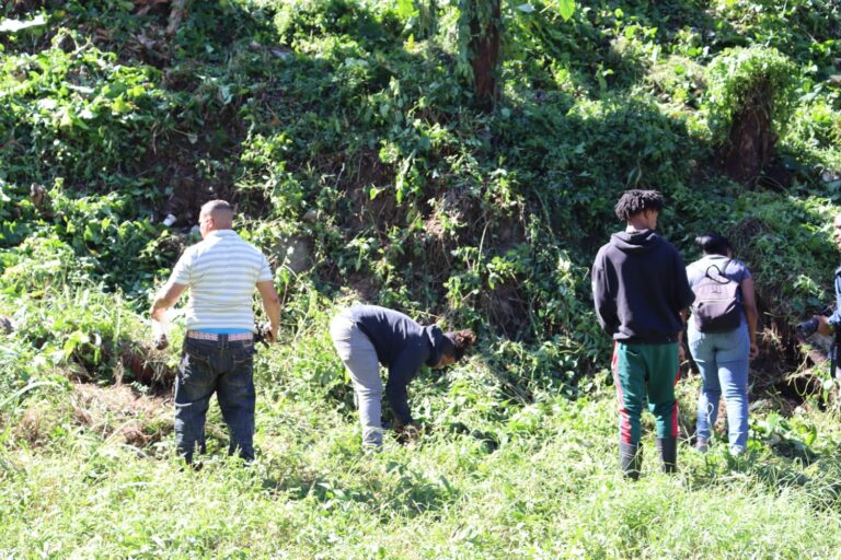 Foto 1. Medio Ambiente realiza jornada de reforestacion en cuenca del rio Jayaco