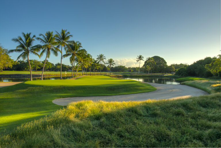 Campo de Golf The Links